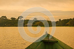 Beautiful sunrise on the river. View from the boat at Amazon river, with a dense forest on the shore and blue sky, Anazonas,