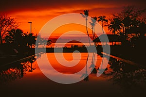 Beautiful Sunrise with silhouette coconut palm tree and swimming pool in beautiful luxury hotel resort