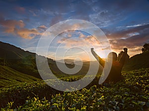 Beautiful sunrise at tea plantation