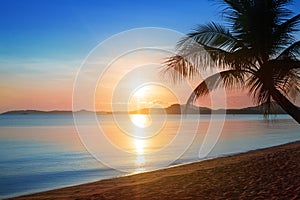 Beautiful sunrise on tropical paradise island beach landscape, scenic sunset on sea coast golden sun, blue sky, pink clouds, palm