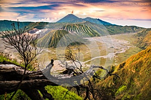 Beautiful sunrise viewpoint with a tree Mount Bromo, East Java, Indonesia photo