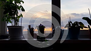 Beautiful sunrise from the window of a dark apartment with flowers on the windowsill.