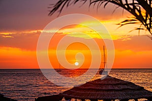 Beautiful sunset above sea. Palm tree and bungalow roof. Photo Wallpaper