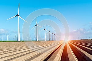 Sunset above windmills on the field