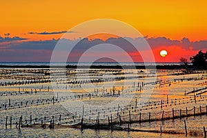 Beautiful Sunset at beach in Tainan