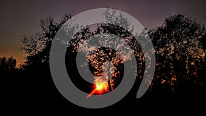Beautiful sunset behind trees , tree shadow in sunset , beautiful sunset