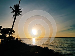 Beautiful sunset with blue sky on the beach and coconut tree silhouette