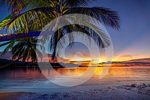 Beautiful sunset with coconut palm tree on the beach in koh samui thailand. photo