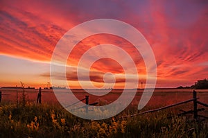 Beautiful sunset in the countryside. Spaciousness of fields, flowering of flowers, old fence, red clouds.