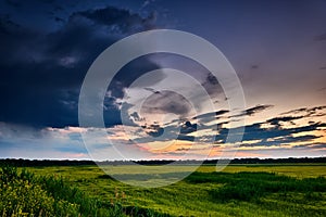 Beautiful sunset in field, summer landscape, bright colorful sky and clouds as background, green wheat