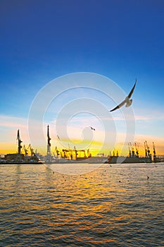 Beautiful sunset in Hamburg