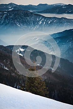 Krásná hodina západu slunce v pohoří Slovenska zvaném Malá Fatra. Karpaty na Slovensku - Evropa. Pojem krajiny