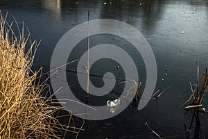 Beautiful sunset on an icy lake. Lake with pieces of ice. Ice glitters in the sun. Beautiful landscape. Background.