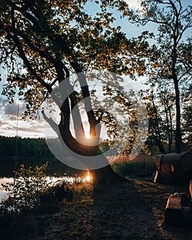 Beautiful sunset illuminated over a tree standing at the shoreline, with a camping tent