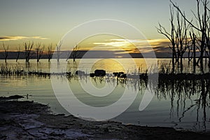 Beautiful sunset on the lake. Dry trees submerged in the calm waters of Lake Epecuen. Clouds on the horizon during sunset