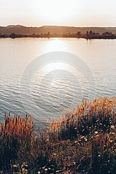 Beautiful sunset at lake in summer evening. water grass and sky in sunshine, peaceful moment. tranquil. space for text