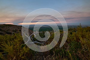 beautiful sunset landscape with an interesting snag