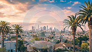 Beautiful sunset of Los Angeles downtown skyline and palm trees