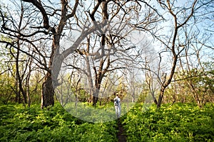 Beautiful sunset in magic forest. Trail. Spring landscape