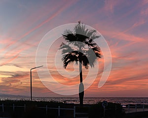 beautiful sunset on the Mediterranean coast in Cyprus 13