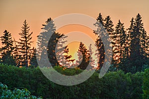 Sunset by the garden