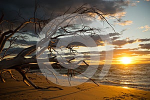 Beautiful Sunset At North Stradbroke Island Australia photo