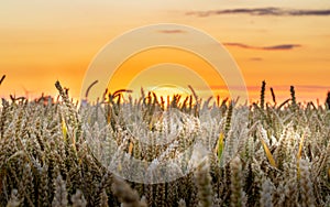 Beautiful sunset at the old water tank the Lanstroper Ei