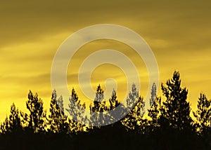 Beautiful sunset with orange clouds