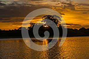 Beautiful sunset over the Amazon River. Manaus, Amazonas, Brazil