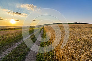 Beautiful sunset over countryside dirt gravel road and ripe wheat fields