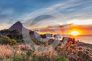 Beautiful sunset over the ocean and Lion`s head mountain view from Signal hill