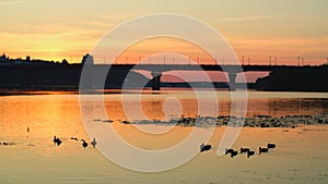 Beautiful sunset over river with ducks. Idyllic nature landscape scene. Kyiv city panorama with Dnipro river, orange sky