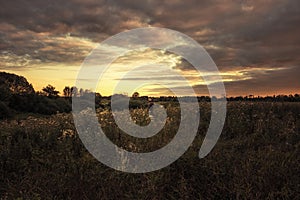 Beautiful sunset over rural field with dramatic orange sky and trees on horizon during hunting