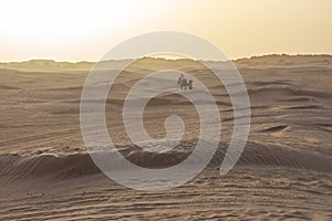 Beautiful sunset over Sahara desert in Douz, Tunisia. Sand and dunes against sky