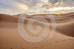 Beautiful sunset over sand dunes of Sahara Desert, Africa