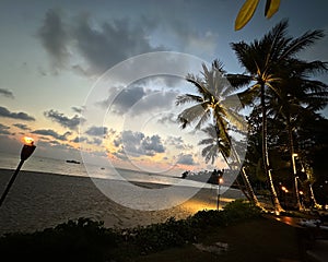 Beautiful sunset over the sea overlooking palm trees on white beach in Caribbean island of Barbados