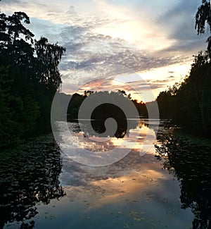 Beautiful sunset over silent lake in park in summer