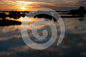 Beautiful sunset over the swamp in Louisiana, the reflection of clouds in the water, USA