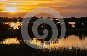 Beautiful sunset over the swamp in Louisiana, the reflection of clouds in the water, USA