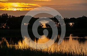 Beautiful sunset over the swamp in Louisiana, the reflection of clouds in the water, USA