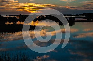 Beautiful sunset over the swamp in Louisiana, the reflection of clouds in the water, USA