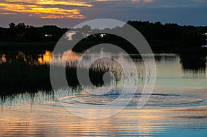 Beautiful sunset over the swamp in Louisiana, the reflection of clouds in the water, USA