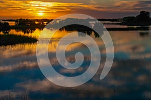 Beautiful sunset over the swamp in Louisiana, the reflection of clouds in the water, USA