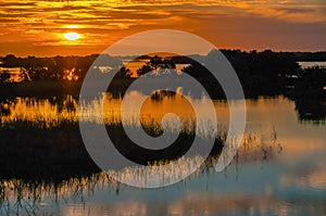 Beautiful sunset over the swamp in Louisiana, the reflection of clouds in the water, USA