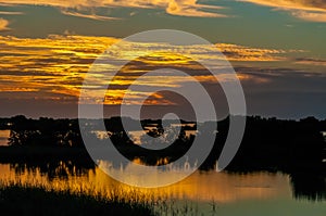 Beautiful sunset over the swamp in Louisiana, the reflection of clouds in the water, USA