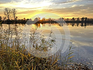 Beautiful sunset over a tranquil lake with reed in the foreground