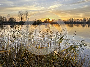 Beautiful sunset over a tranquil lake with reed in the foreground