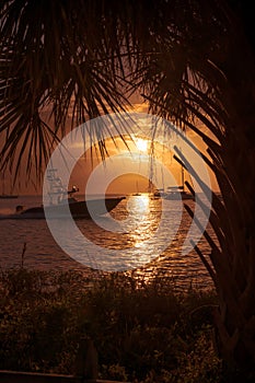 Beautiful sunset at palm trees by the ocean beach in Key Biscayne, Florida