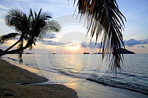 Beautiful sunset, palms and seascape on Papar town coast near Kota Kinabal on Borneo island.
