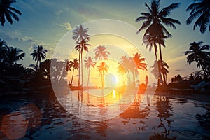 Beautiful sunset among the palms on a tropical beach. Nature.